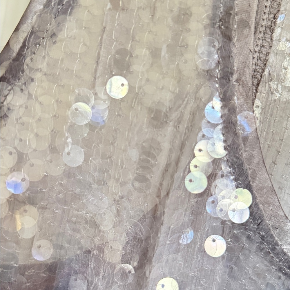 Zara Metallic Silver Dress
